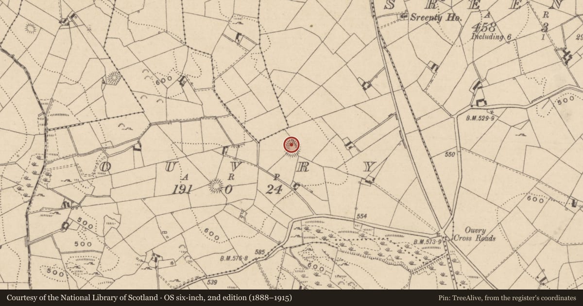 Ordnance Survey six-inch map, 2nd edition (1888–1915) covering the location of Souterrain, Ouvry, County Monaghan, with a pin at the register's coordinates