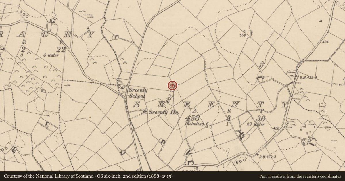 Ordnance Survey six-inch map, 2nd edition (1888–1915) covering the location of Ringfort - rath, Sreenty, County Monaghan, with a pin at the register's coordinates
