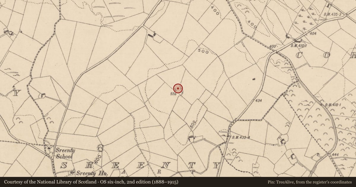 Ordnance Survey six-inch map, 2nd edition (1888–1915) covering the location of Ringfort - rath, Sreenty, County Monaghan, with a pin at the register's coordinates