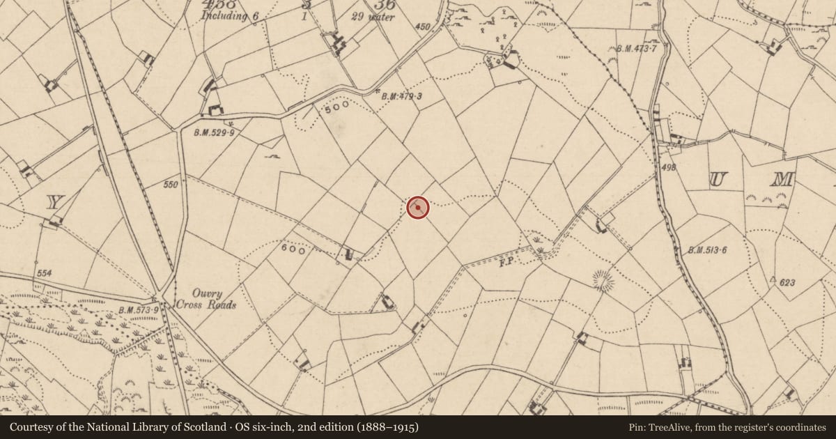 Ordnance Survey six-inch map, 2nd edition (1888–1915) covering the location of Ringfort - rath, Sreenty, County Monaghan, with a pin at the register's coordinates