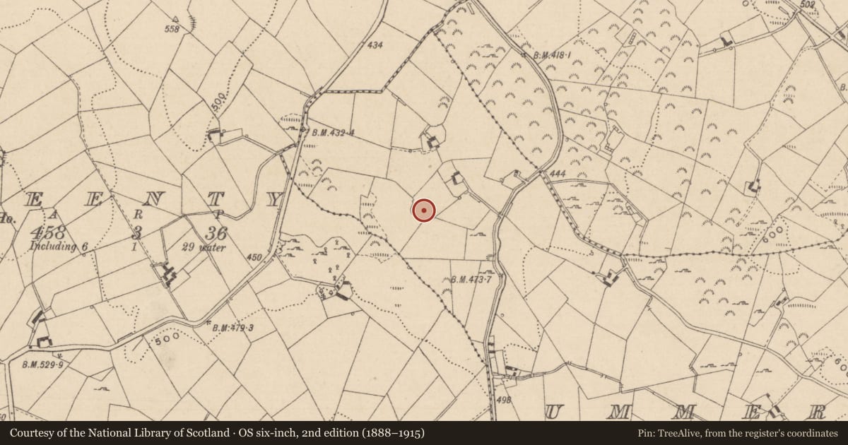 Ordnance Survey six-inch map, 2nd edition (1888–1915) covering the location of Ringfort - rath, Ummerafree, County Monaghan, with a pin at the register's coordinates