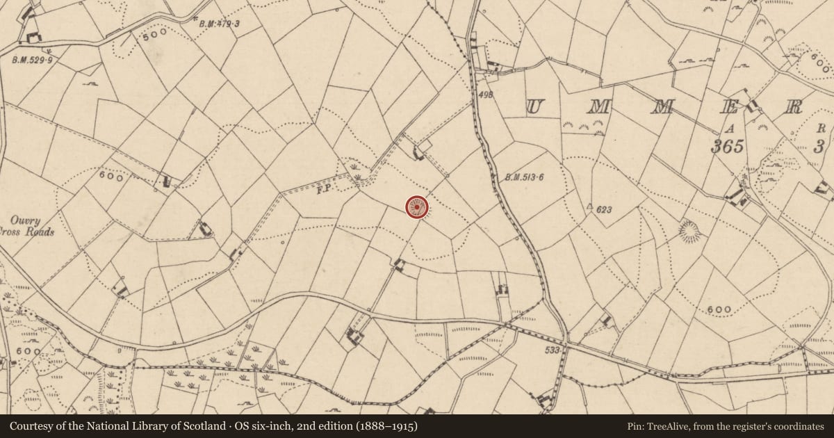 Ordnance Survey six-inch map, 2nd edition (1888–1915) covering the location of Ringfort - rath, Sreenty, County Monaghan, with a pin at the register's coordinates