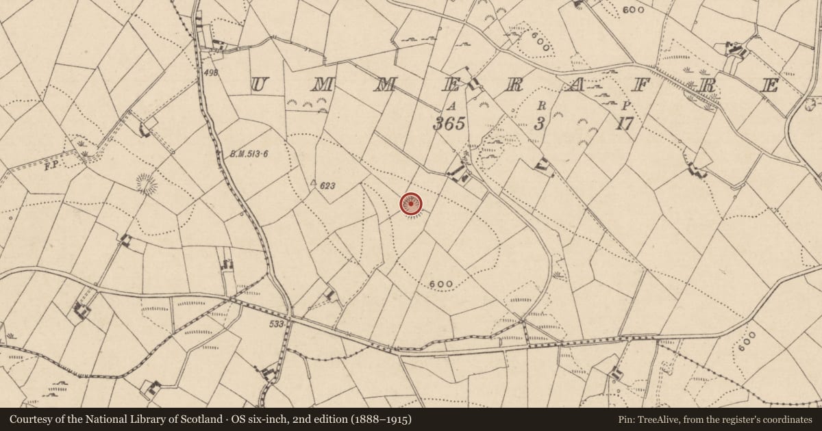 Ordnance Survey six-inch map, 2nd edition (1888–1915) covering the location of Ringfort - rath, Ummerafree, County Monaghan, with a pin at the register's coordinates