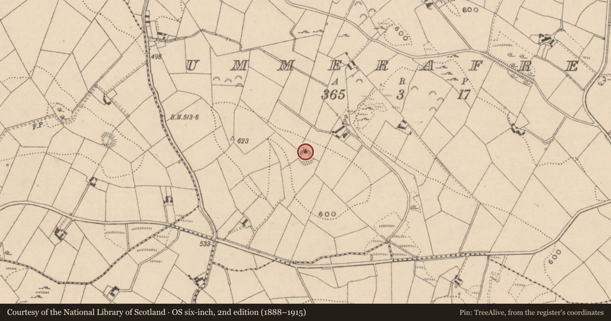Ordnance Survey six-inch map, 2nd edition (1888–1915) covering the location of House - indeterminate date, Ummerafree, County Monaghan, with a pin at the register's coordinates