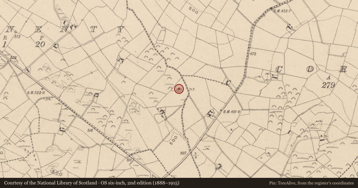 Ordnance Survey six-inch map, 2nd edition (1888–1915) covering the location of Enclosure, Corrinenty, County Monaghan, with a pin at the register's coordinates