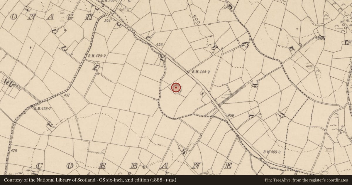 Ordnance Survey six-inch map, 2nd edition (1888–1915) covering the location of Ringfort - rath, Bocks Lower, County Monaghan, with a pin at the register's coordinates