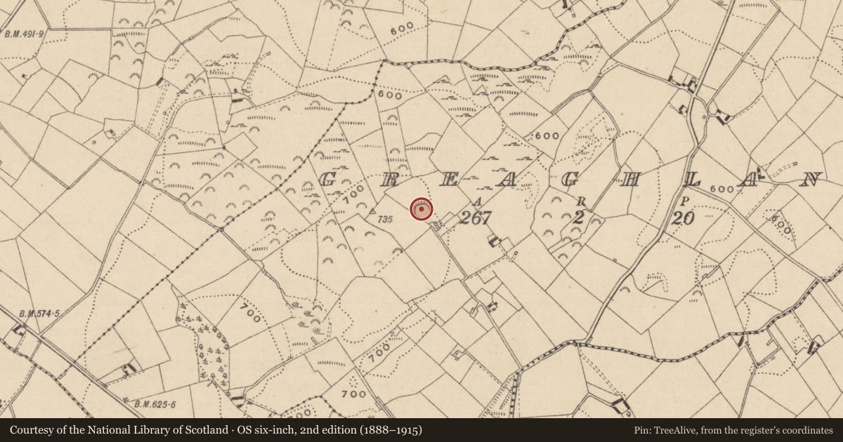 Ordnance Survey six-inch map, 2nd edition (1888–1915) covering the location of Ringfort - rath, Greaghlane, County Monaghan, with a pin at the register's coordinates