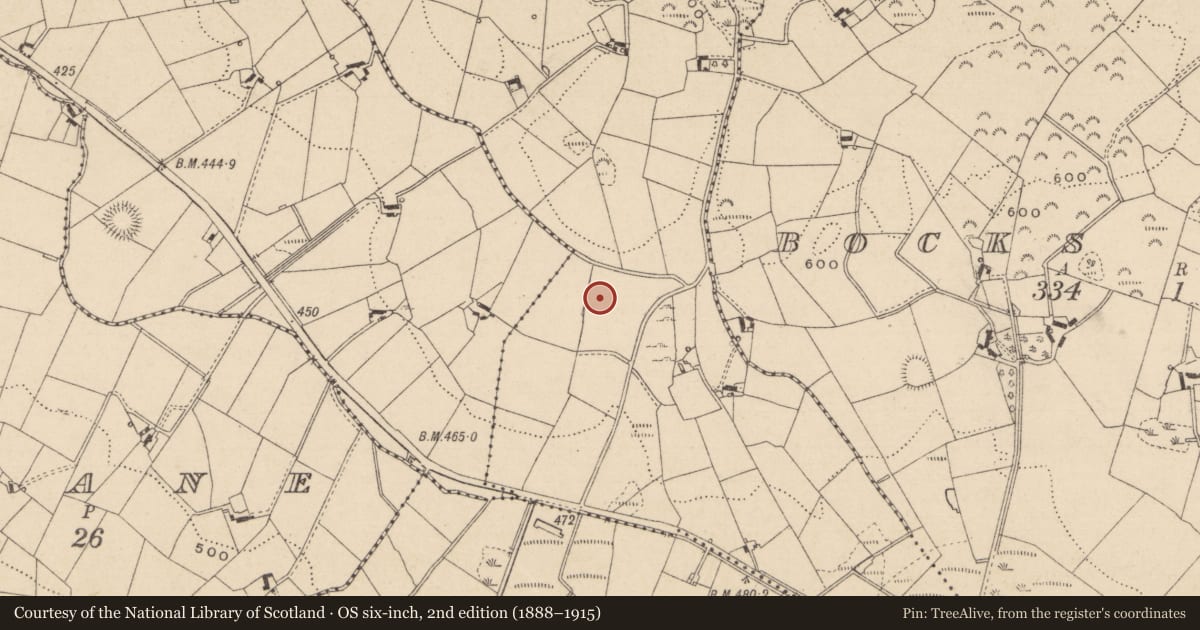 Ordnance Survey six-inch map, 2nd edition (1888–1915) covering the location of Ringfort - rath, Bocks Middle, County Monaghan, with a pin at the register's coordinates
