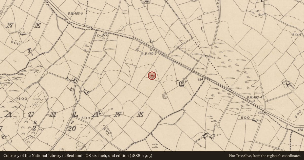 Ordnance Survey six-inch map, 2nd edition (1888–1915) covering the location of Ringfort - rath, Greaghlane, County Monaghan, with a pin at the register's coordinates