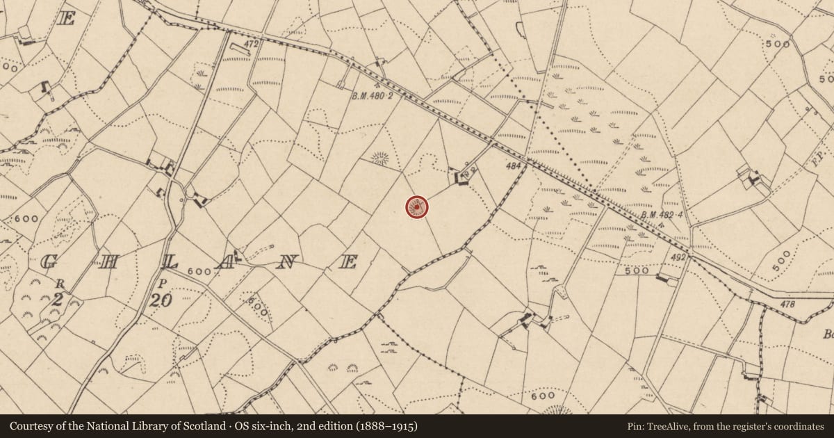 Ordnance Survey six-inch map, 2nd edition (1888–1915) covering the location of Ringfort - rath, Greaghlane, County Monaghan, with a pin at the register's coordinates