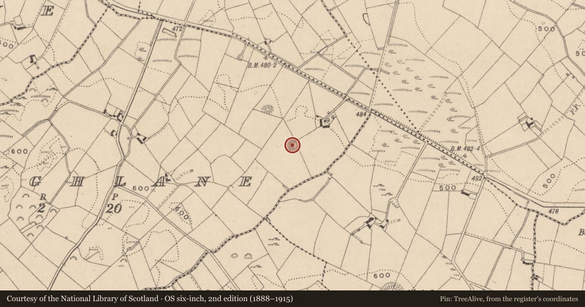 Ordnance Survey six-inch map, 2nd edition (1888–1915) covering the location of House - indeterminate date, Greaghlane, County Monaghan, with a pin at the register's coordinates