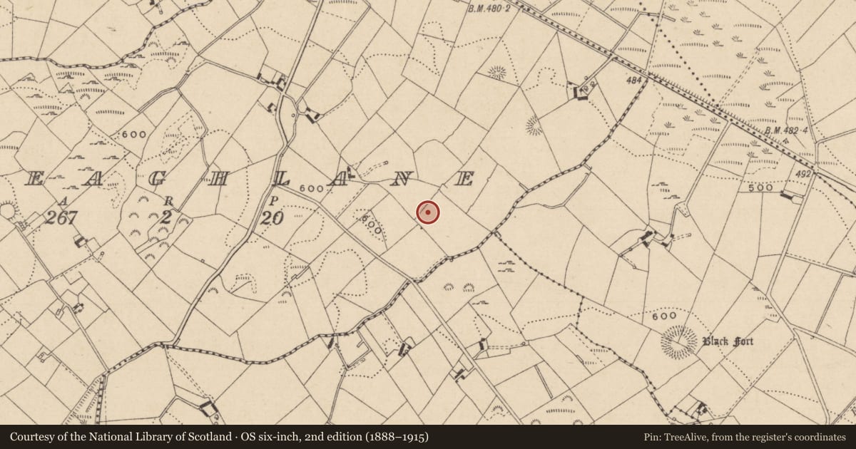 Ordnance Survey six-inch map, 2nd edition (1888–1915) covering the location of Ringfort - rath, Greaghlane, County Monaghan, with a pin at the register's coordinates