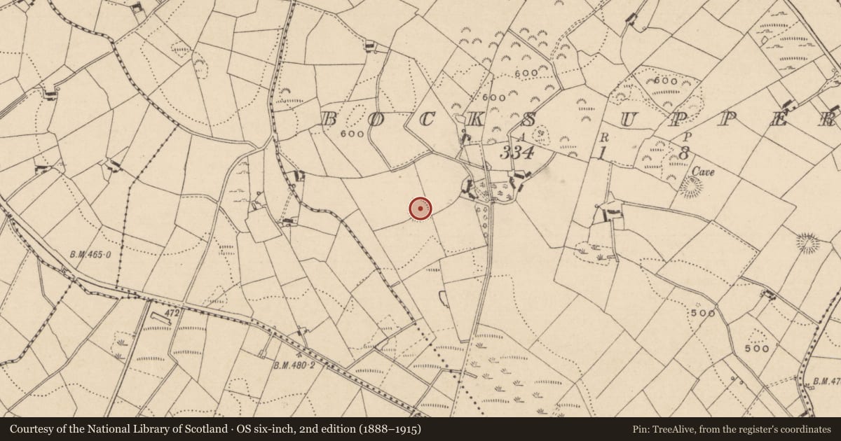 Ordnance Survey six-inch map, 2nd edition (1888–1915) covering the location of Ringfort - rath, Bocks Upper, County Monaghan, with a pin at the register's coordinates