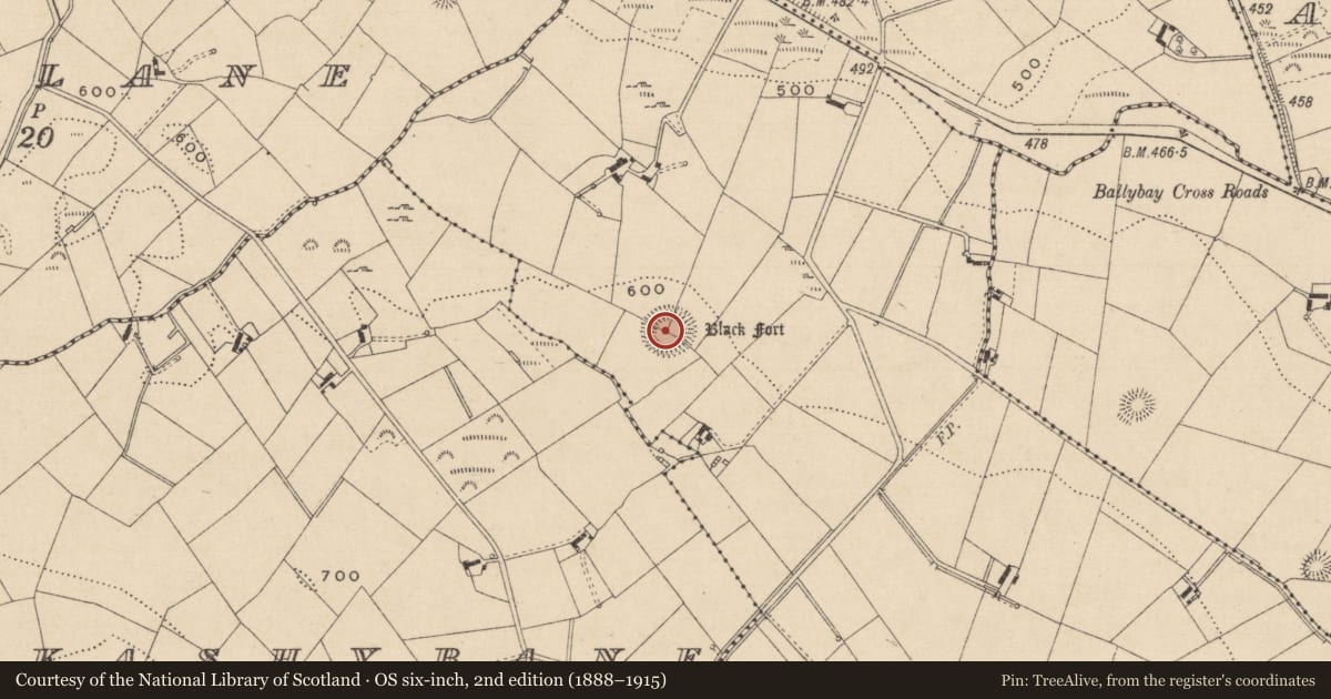 Ordnance Survey six-inch map, 2nd edition (1888–1915) covering the location of Ringfort - rath, Drumgowna, County Monaghan, with a pin at the register's coordinates