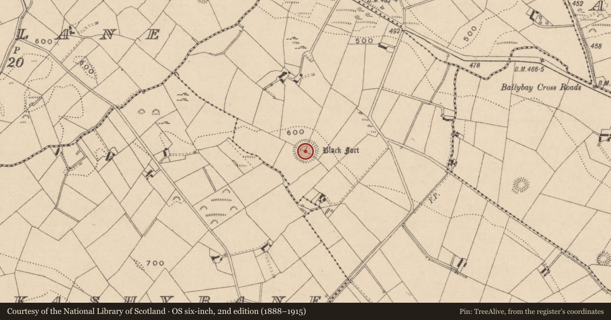 Ordnance Survey six-inch map, 2nd edition (1888–1915) covering the location of Souterrain, Drumgowna, County Monaghan, with a pin at the register's coordinates