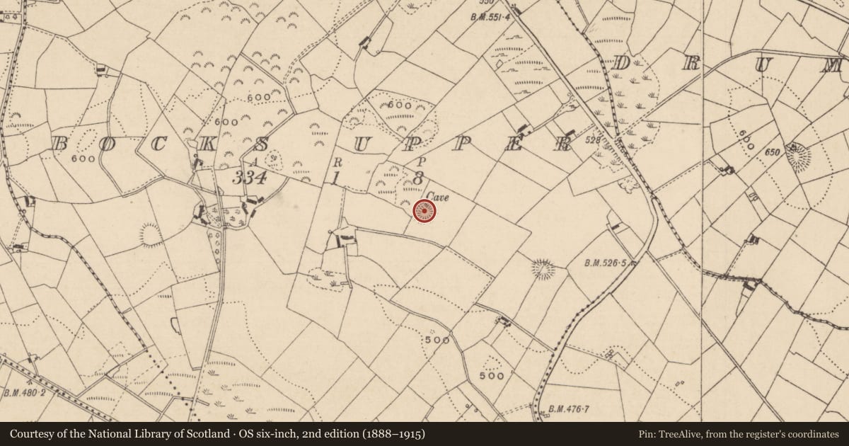 Ordnance Survey six-inch map, 2nd edition (1888–1915) covering the location of Ringfort - rath, Bocks Upper, County Monaghan, with a pin at the register's coordinates