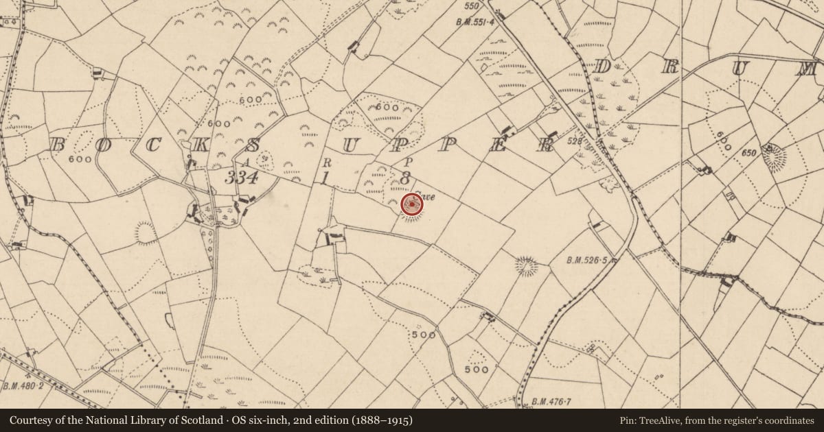 Ordnance Survey six-inch map, 2nd edition (1888–1915) covering the location of Souterrain, Bocks Upper, County Monaghan, with a pin at the register's coordinates