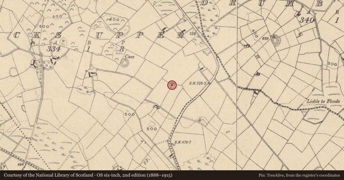 Ordnance Survey six-inch map, 2nd edition (1888–1915) covering the location of Ringfort - rath, Bocks Upper, County Monaghan, with a pin at the register's coordinates