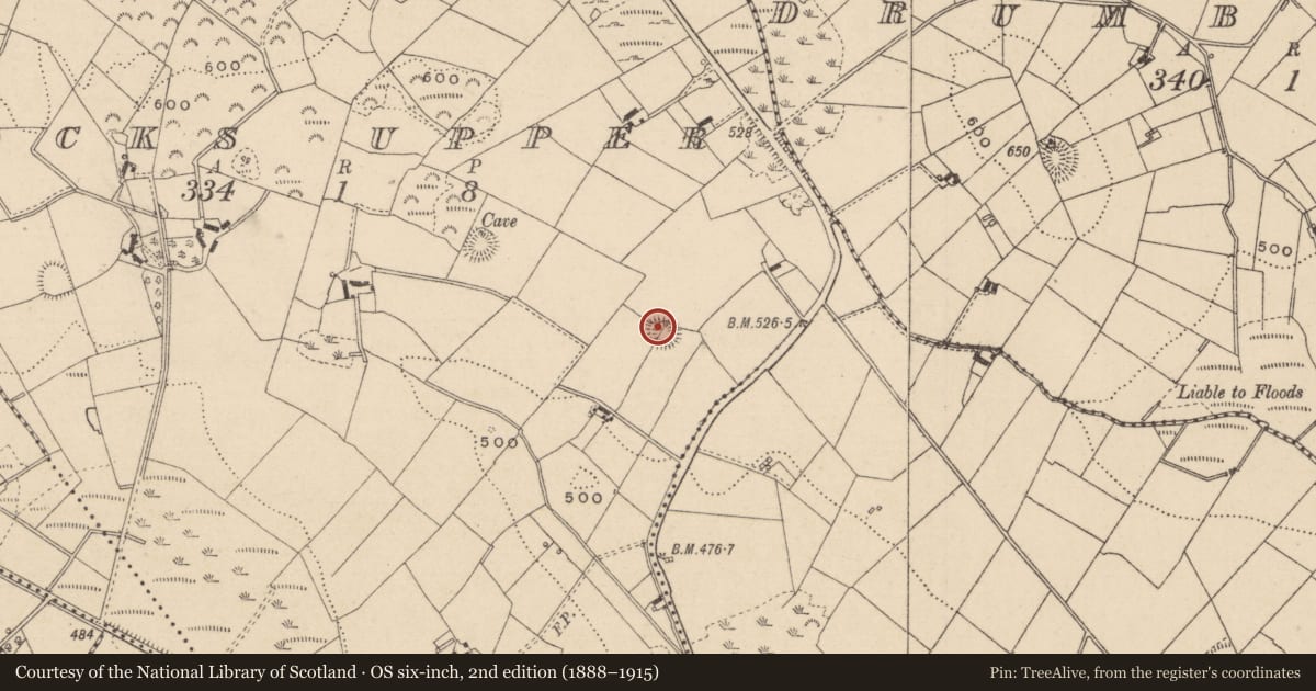 Ordnance Survey six-inch map, 2nd edition (1888–1915) covering the location of Souterrain, Bocks Upper, County Monaghan, with a pin at the register's coordinates