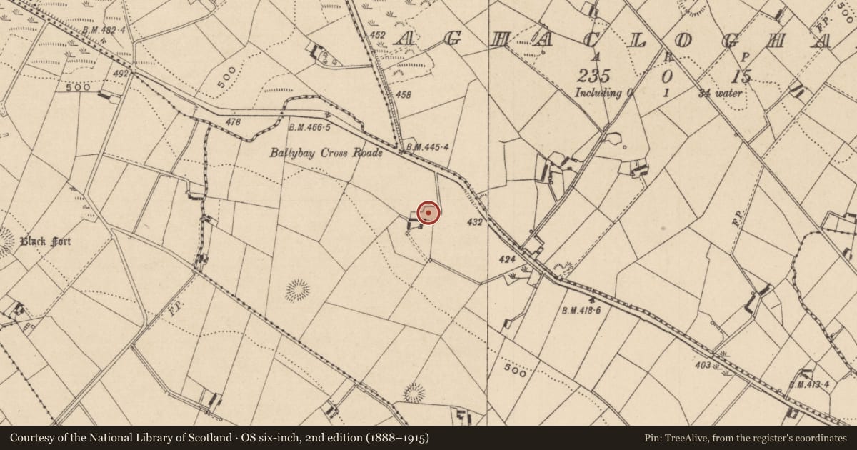 Ordnance Survey six-inch map, 2nd edition (1888–1915) covering the location of Ringfort - rath, Peast, County Monaghan, with a pin at the register's coordinates
