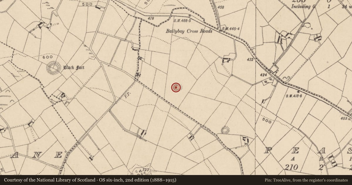 Ordnance Survey six-inch map, 2nd edition (1888–1915) covering the location of Ringfort - rath, Peast, County Monaghan, with a pin at the register's coordinates