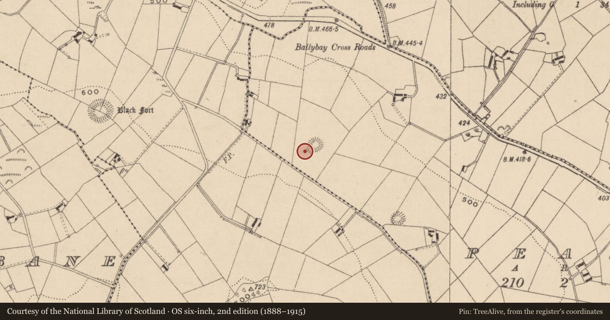 Ordnance Survey six-inch map, 2nd edition (1888–1915) covering the location of House - indeterminate date, Peast, County Monaghan, with a pin at the register's coordinates