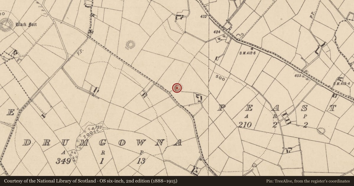 Ordnance Survey six-inch map, 2nd edition (1888–1915) covering the location of Ringfort - rath, Peast, County Monaghan, with a pin at the register's coordinates