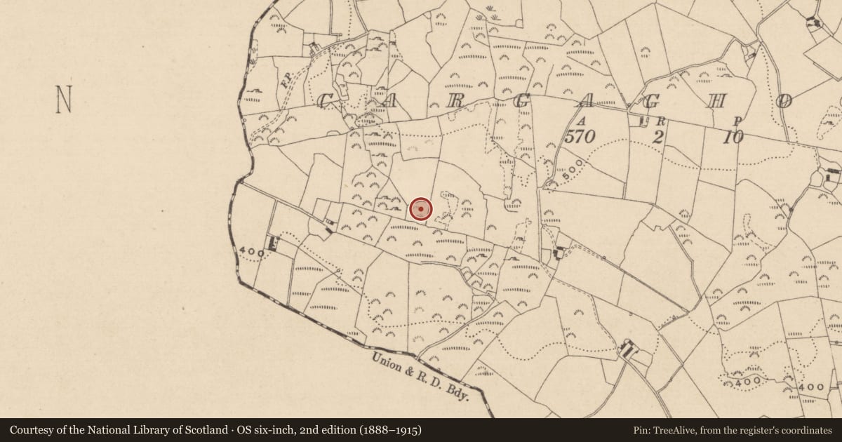 Ordnance Survey six-inch map, 2nd edition (1888–1915) covering the location of Ringfort - rath, Cargaghoge, County Monaghan, with a pin at the register's coordinates