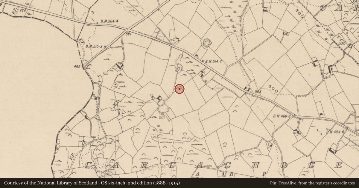 Ordnance Survey six-inch map, 2nd edition (1888–1915) covering the location of Ringfort - rath, Cargaghoge, County Monaghan, with a pin at the register's coordinates