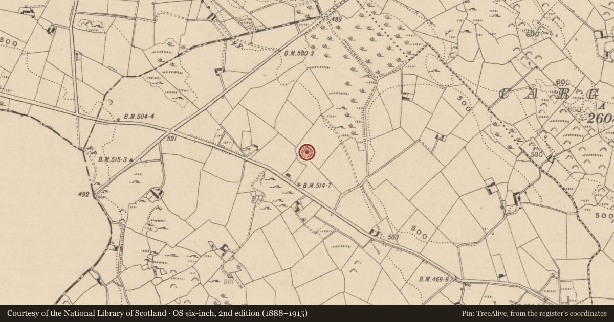 Ordnance Survey six-inch map, 2nd edition (1888–1915) covering the location of Ringfort - rath, Cargaghoge, County Monaghan, with a pin at the register's coordinates