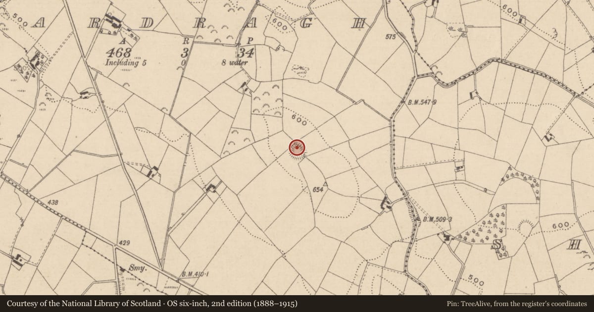 Ordnance Survey six-inch map, 2nd edition (1888–1915) covering the location of Ringfort - rath, Ardragh, County Monaghan, with a pin at the register's coordinates