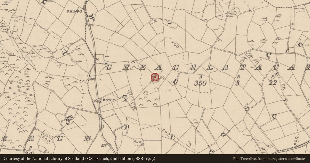 Ordnance Survey six-inch map, 2nd edition (1888–1915) covering the location of Ringfort - rath, Greaghlatacapple, County Monaghan, with a pin at the register's coordinates