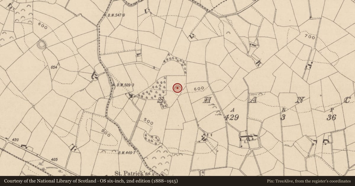 Ordnance Survey six-inch map, 2nd edition (1888–1915) covering the location of Ringfort - rath, Shanco (Farney By., Magheross Par.), County Monaghan, with a pin at the register's coordinates
