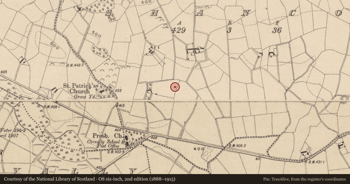 Ordnance Survey six-inch map, 2nd edition (1888–1915) covering the location of Ringfort - rath, Shanco (Farney By., Magheross Par.), County Monaghan, with a pin at the register's coordinates
