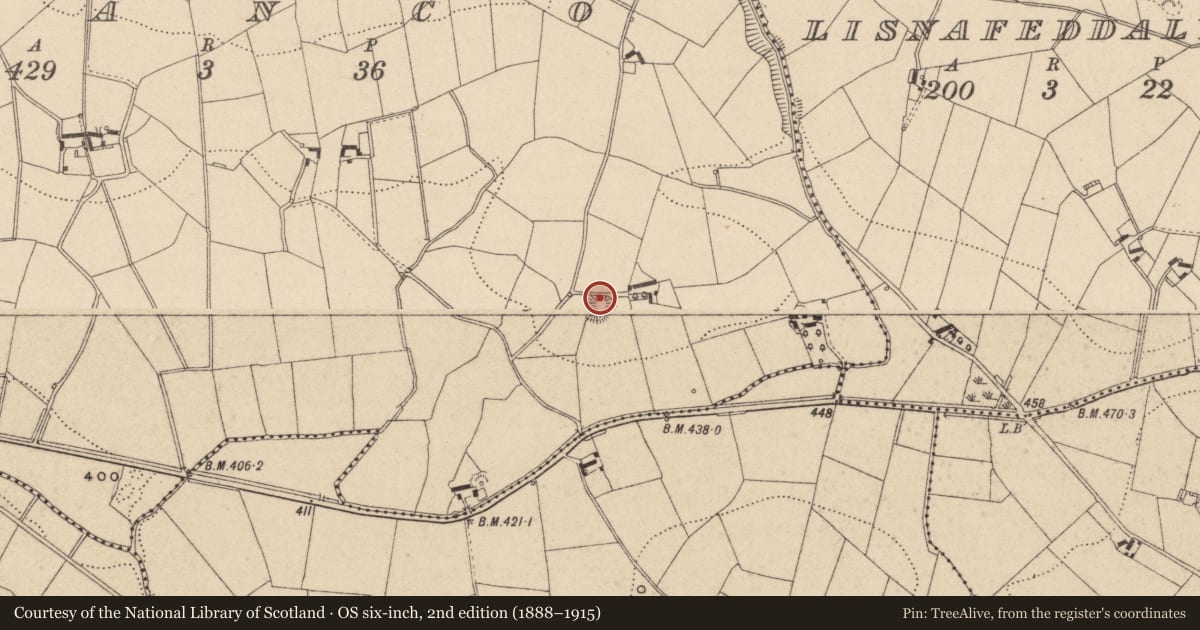 Ordnance Survey six-inch map, 2nd edition (1888–1915) covering the location of Ringfort - rath, Shanco (Farney By., Magheross Par.), County Monaghan, with a pin at the register's coordinates