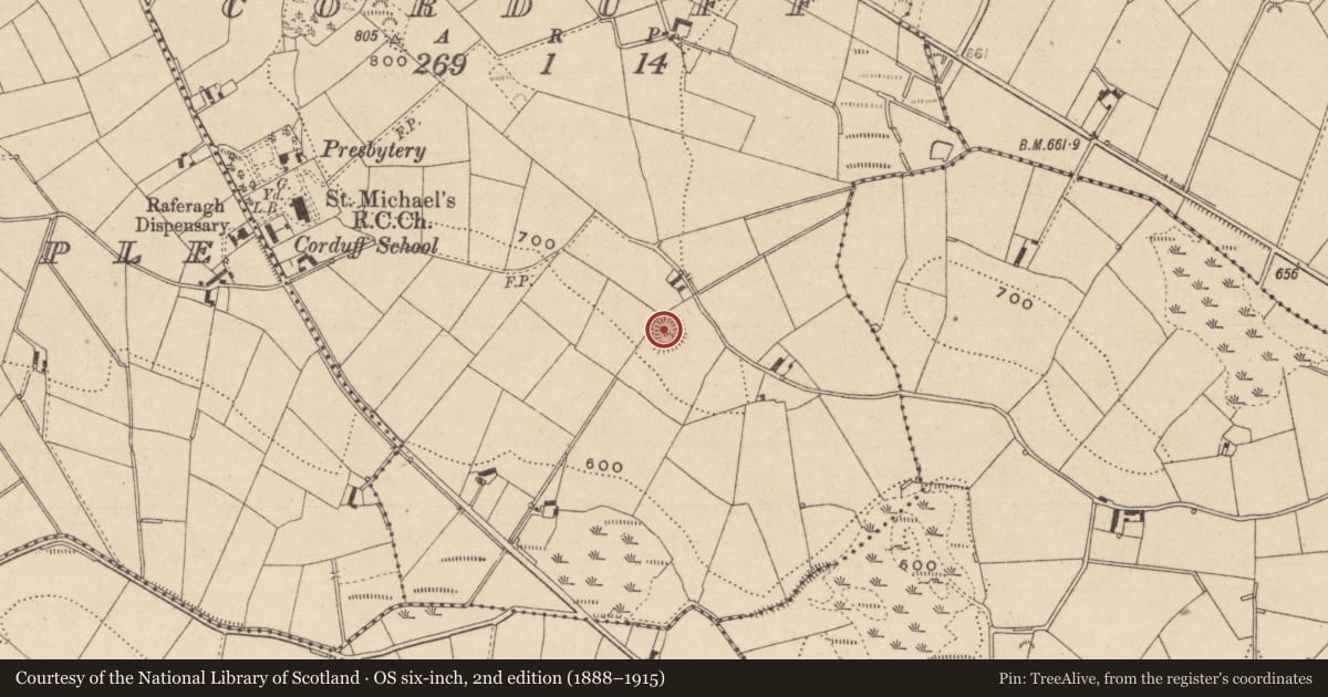 Ordnance Survey six-inch map, 2nd edition (1888–1915) covering the location of Ringfort - rath, Corduff, County Monaghan, with a pin at the register's coordinates