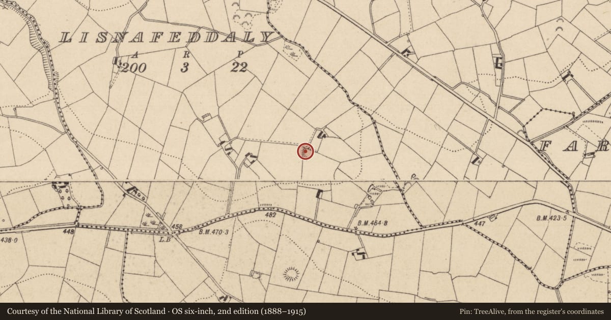 Ordnance Survey six-inch map, 2nd edition (1888–1915) covering the location of Ringfort - rath, Lisnafeddaly, County Monaghan, with a pin at the register's coordinates