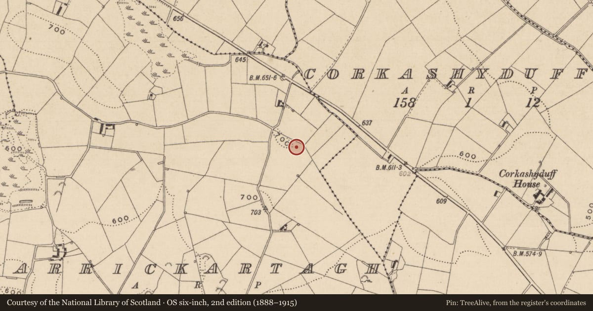 Ordnance Survey six-inch map, 2nd edition (1888–1915) covering the location of Ringfort - rath, Carrickartagh, County Monaghan, with a pin at the register's coordinates