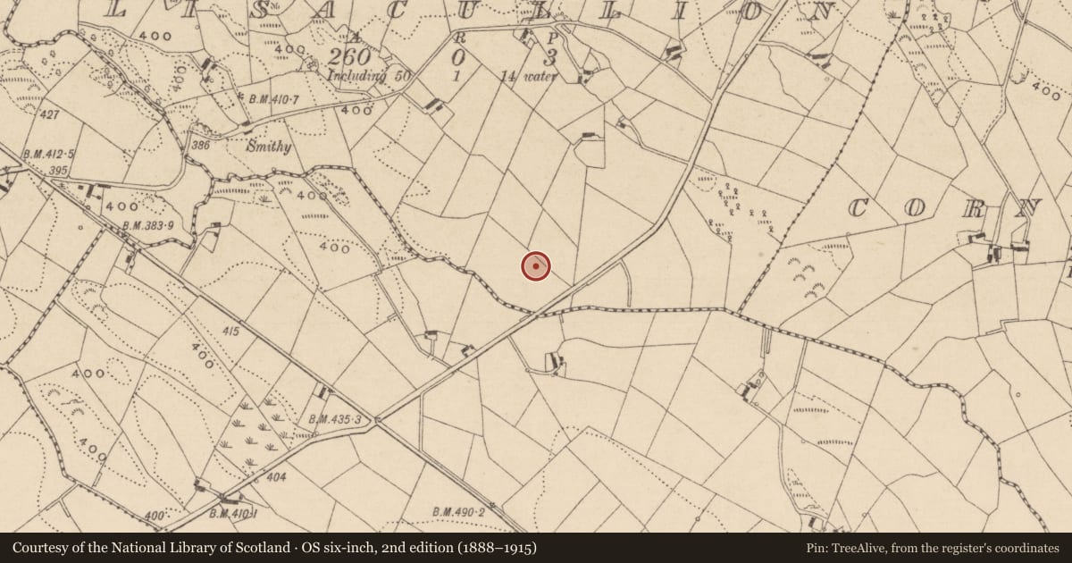 Ordnance Survey six-inch map, 2nd edition (1888–1915) covering the location of Ringfort - rath, Lisacullion, County Monaghan, with a pin at the register's coordinates