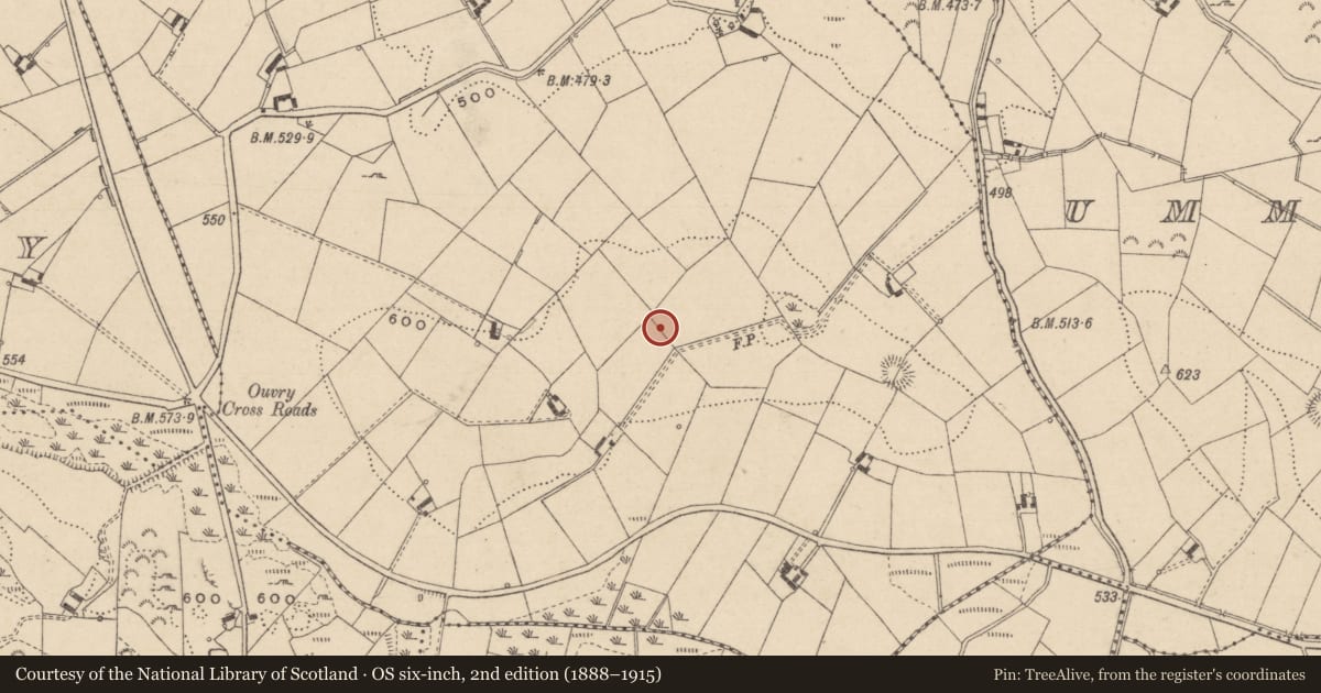 Ordnance Survey six-inch map, 2nd edition (1888–1915) covering the location of Ringfort - rath, Sreenty, County Monaghan, with a pin at the register's coordinates