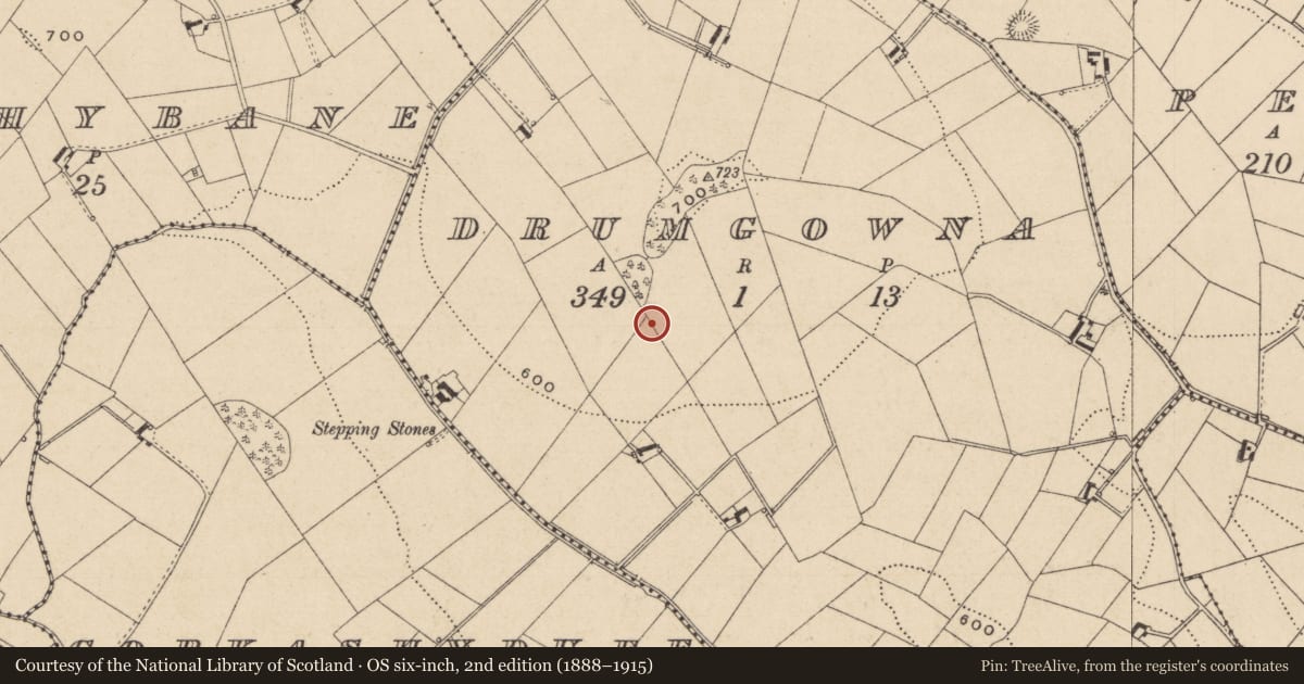 Ordnance Survey six-inch map, 2nd edition (1888–1915) covering the location of Ringfort - rath, Drumgowna, County Monaghan, with a pin at the register's coordinates