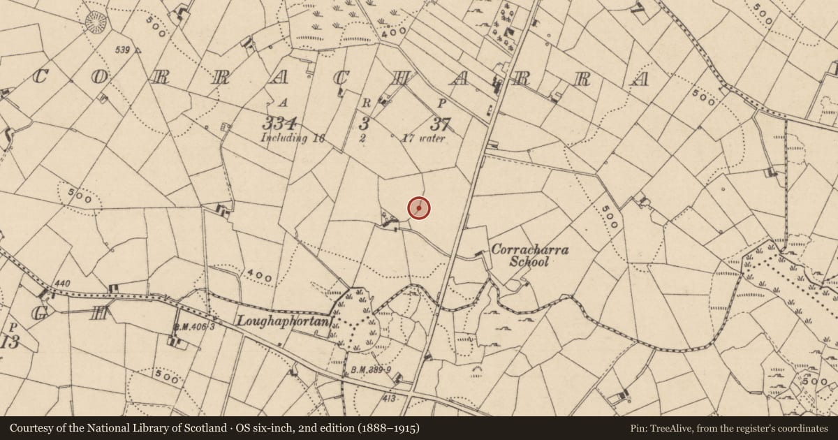 Ordnance Survey six-inch map, 2nd edition (1888–1915) covering the location of Kiln - lime, Corracharra, County Monaghan, with a pin at the register's coordinates