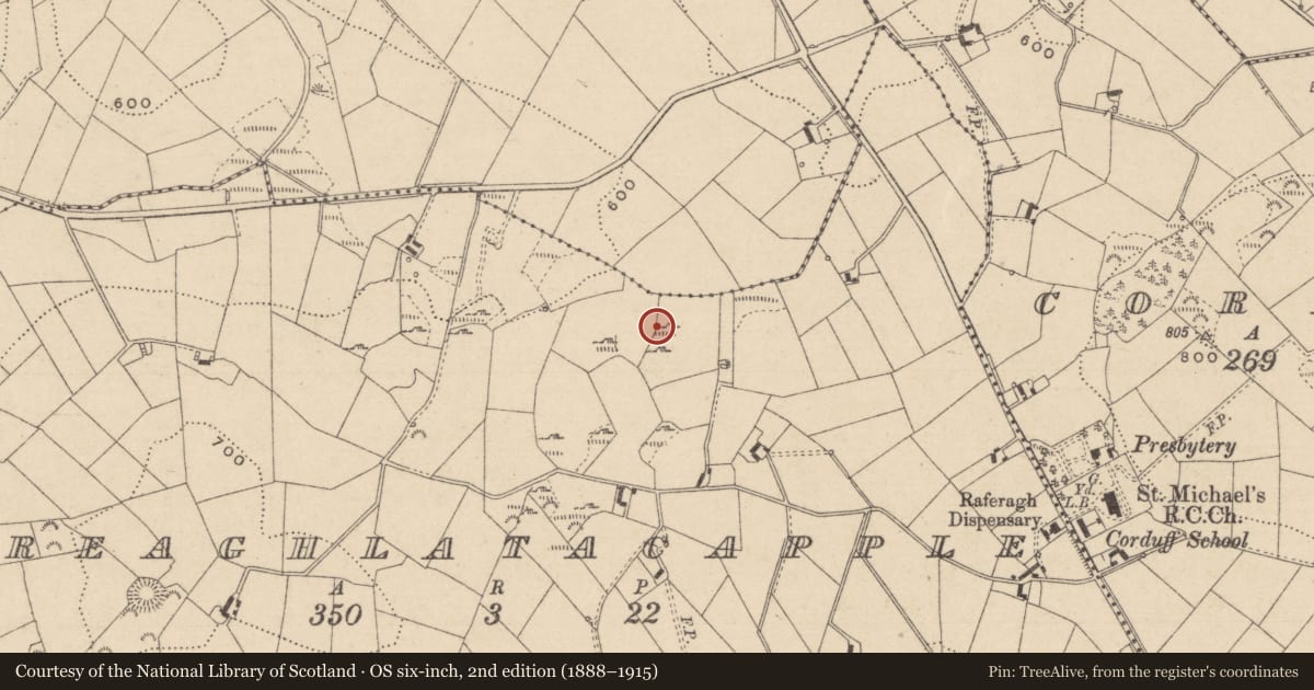 Ordnance Survey six-inch map, 2nd edition (1888–1915) covering the location of Mass-rock, Greaghlatacapple, County Monaghan, with a pin at the register's coordinates