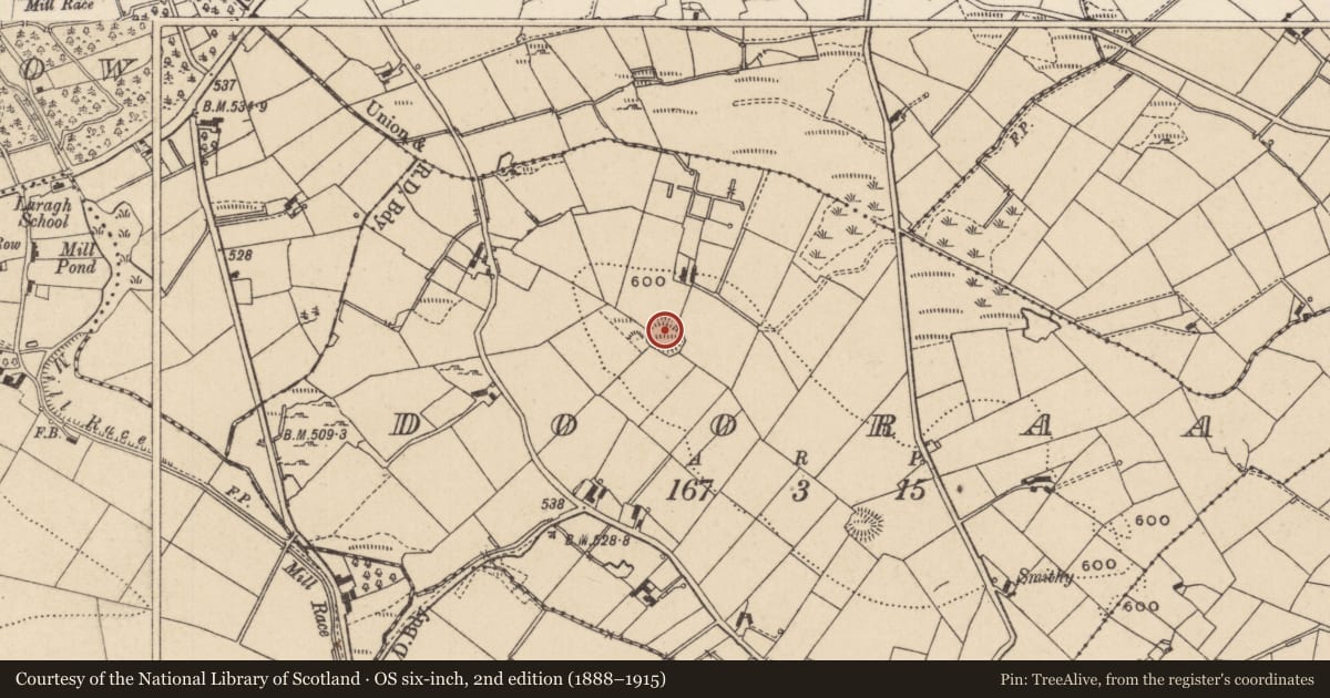 Ordnance Survey six-inch map, 2nd edition (1888–1915) covering the location of Ringfort - rath, Dooraa, County Monaghan, with a pin at the register's coordinates