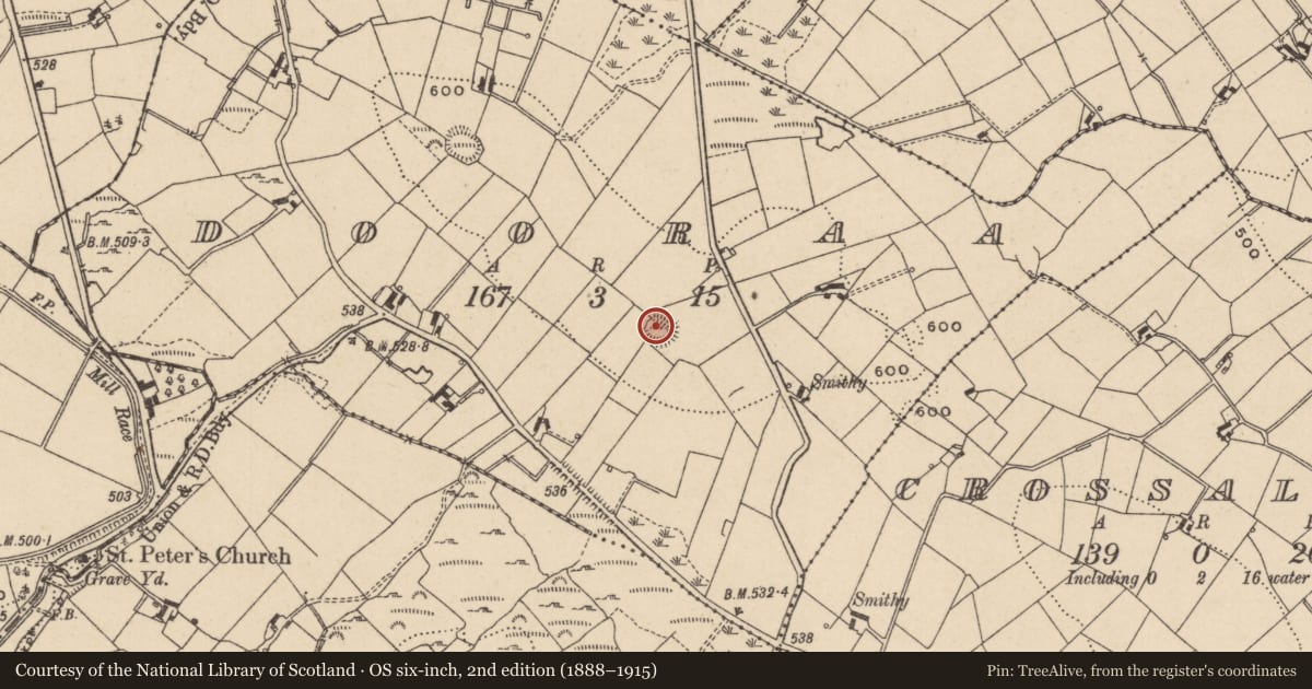Ordnance Survey six-inch map, 2nd edition (1888–1915) covering the location of Ringfort - rath, Dooraa, County Monaghan, with a pin at the register's coordinates