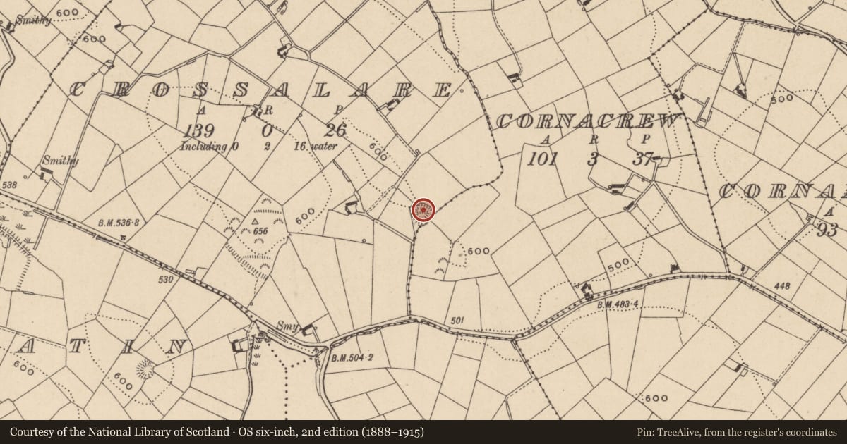 Ordnance Survey six-inch map, 2nd edition (1888–1915) covering the location of Ringfort - rath, Cornacrew, Crossalare, County Monaghan, with a pin at the register's coordinates