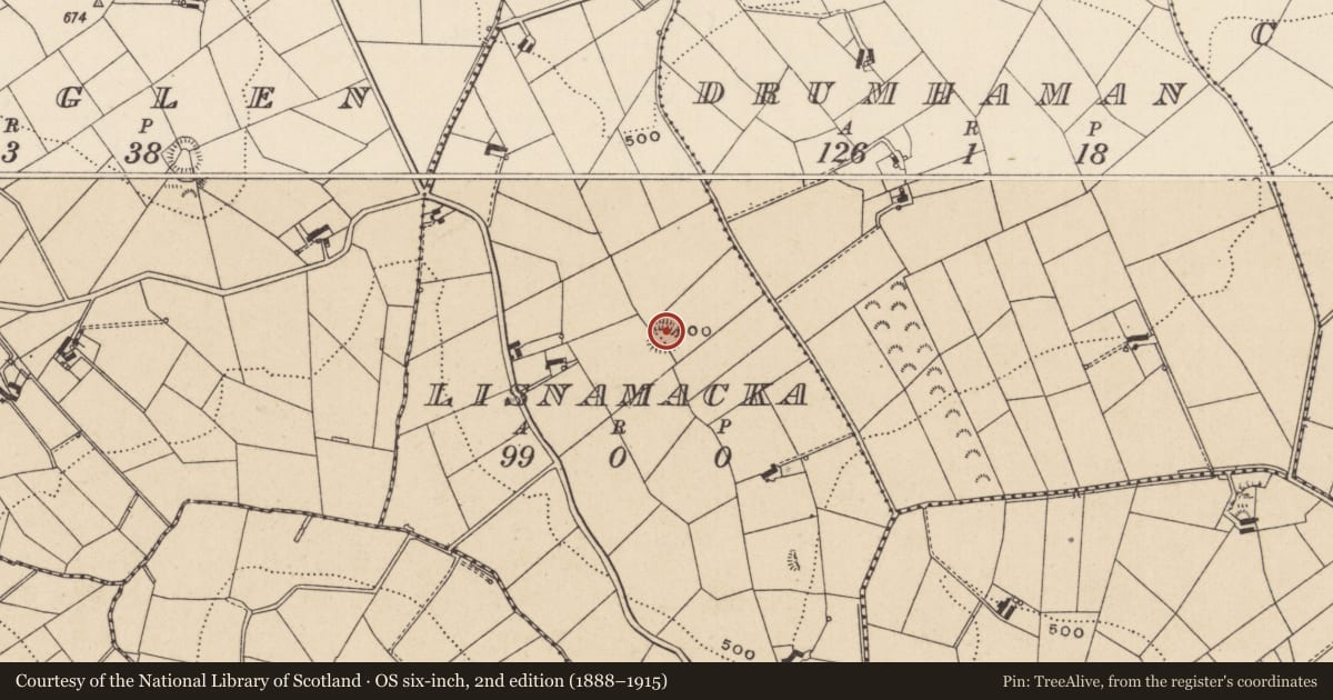 Ordnance Survey six-inch map, 2nd edition (1888–1915) covering the location of Ringfort - rath, Lisnamacka, County Monaghan, with a pin at the register's coordinates
