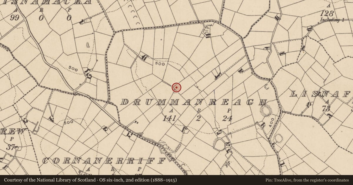 Ordnance Survey six-inch map, 2nd edition (1888–1915) covering the location of Ringfort - rath, Drummanreagh, County Monaghan, with a pin at the register's coordinates