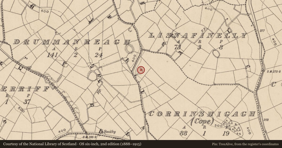 Ordnance Survey six-inch map, 2nd edition (1888–1915) covering the location of Ringfort - rath, Corrinshigagh (Cope), County Monaghan, with a pin at the register's coordinates