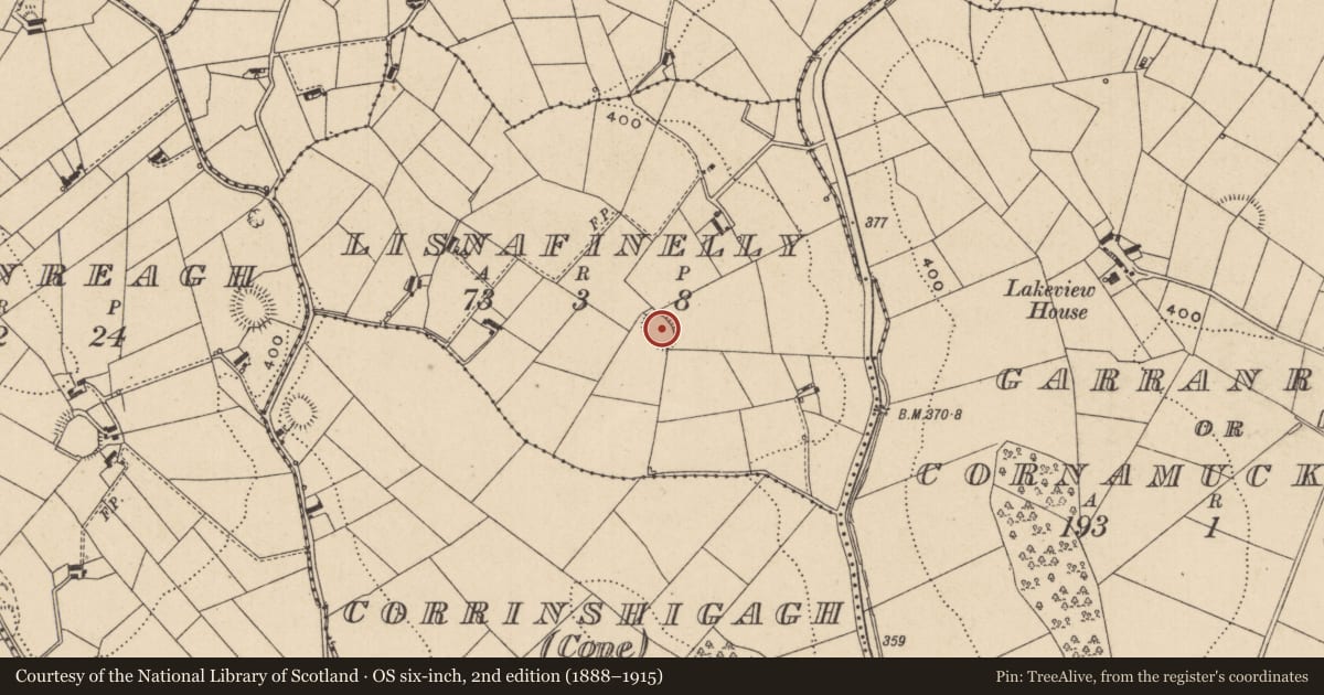 Ordnance Survey six-inch map, 2nd edition (1888–1915) covering the location of Ringfort - rath, Lisnafinelly, County Monaghan, with a pin at the register's coordinates